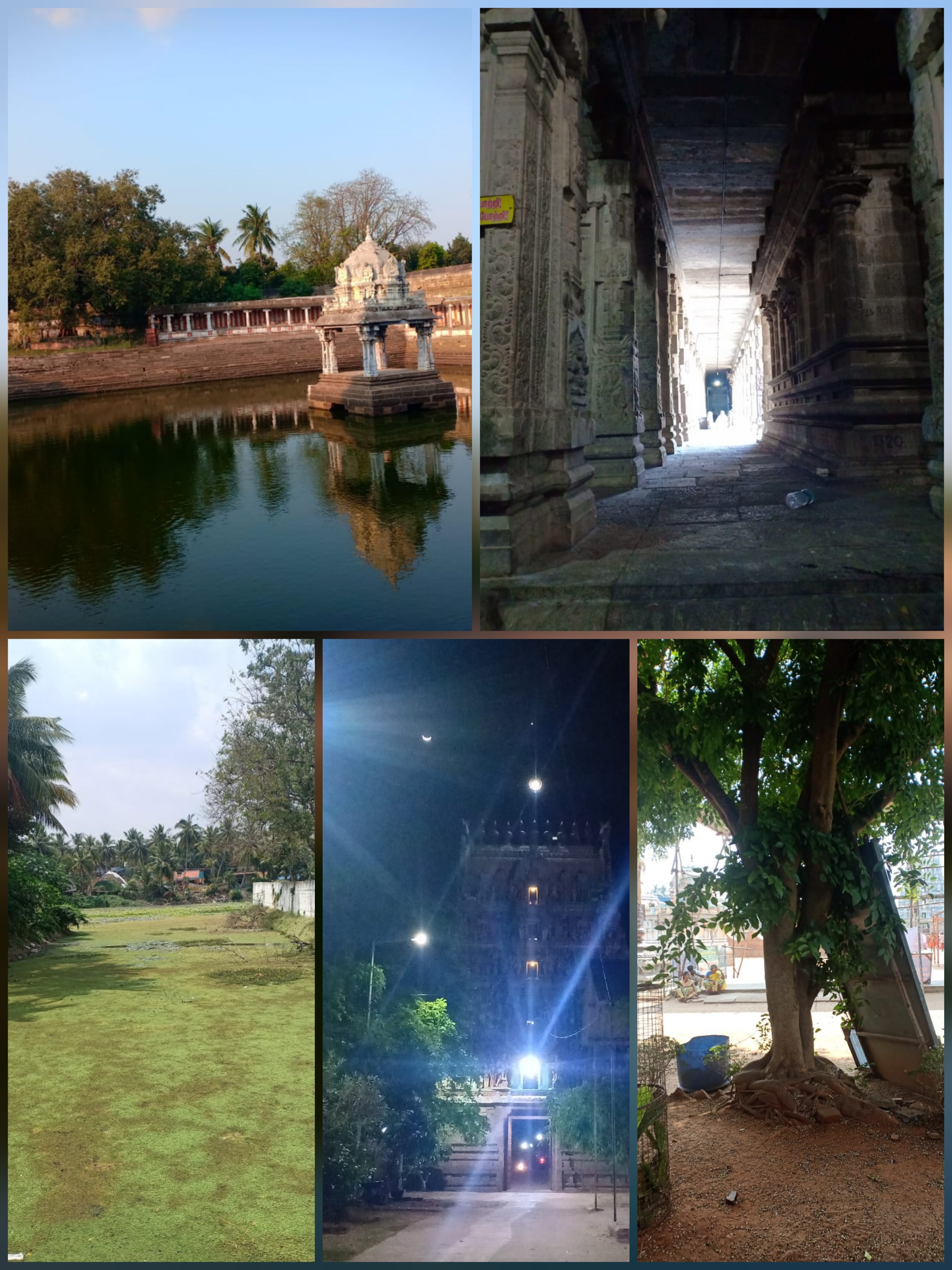 Gallery Image 8